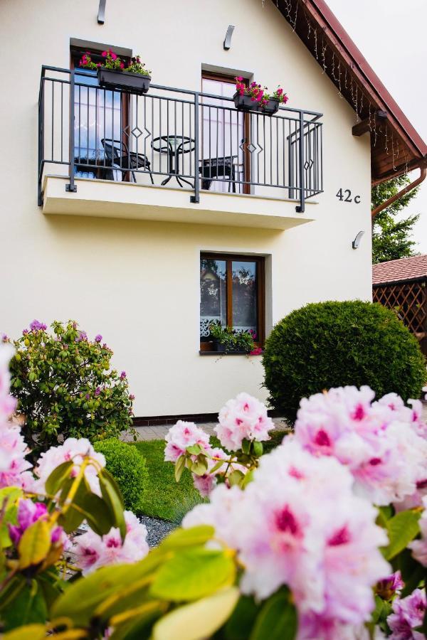 Apartamenty Pod Cisem Bad Kudowa Exterior foto