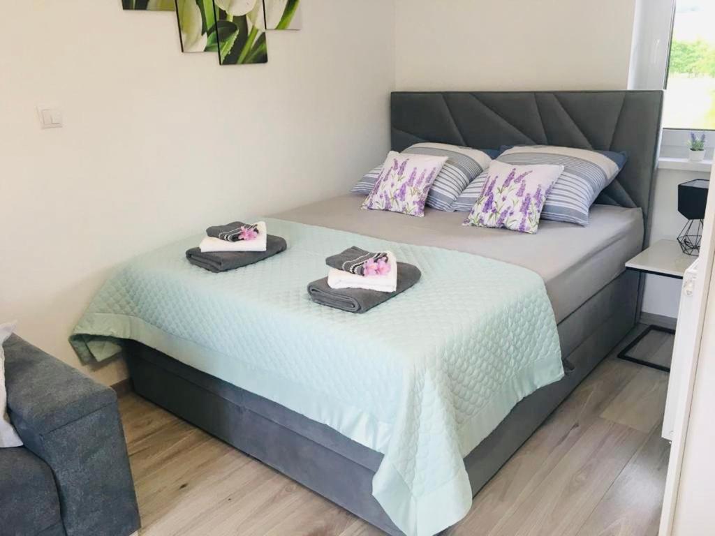 Apartamenty Pod Cisem Bad Kudowa Exterior foto